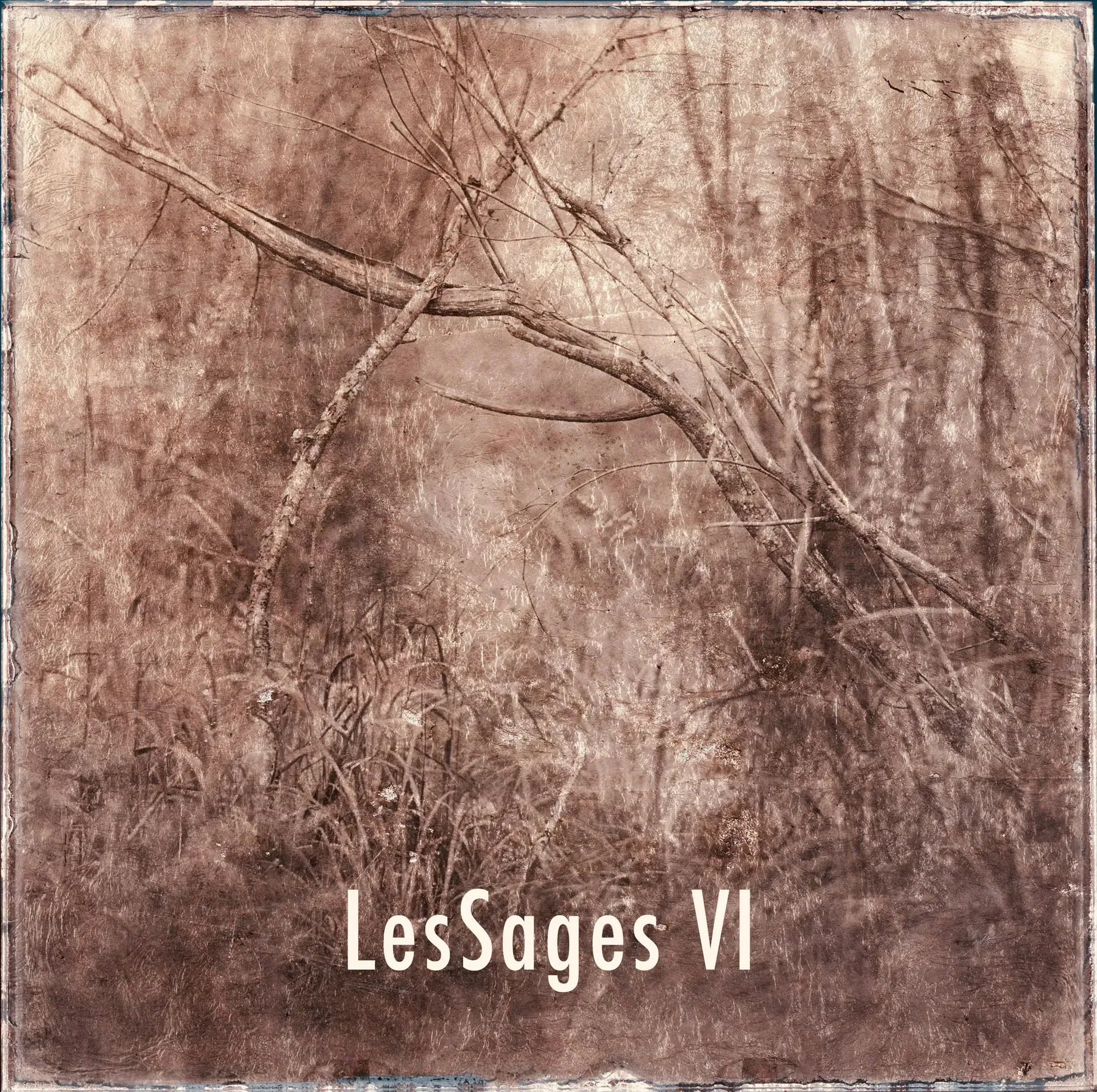 Les Sages VI — Denis Félix